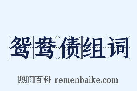 鸳鸯债组词是什么意思的图片